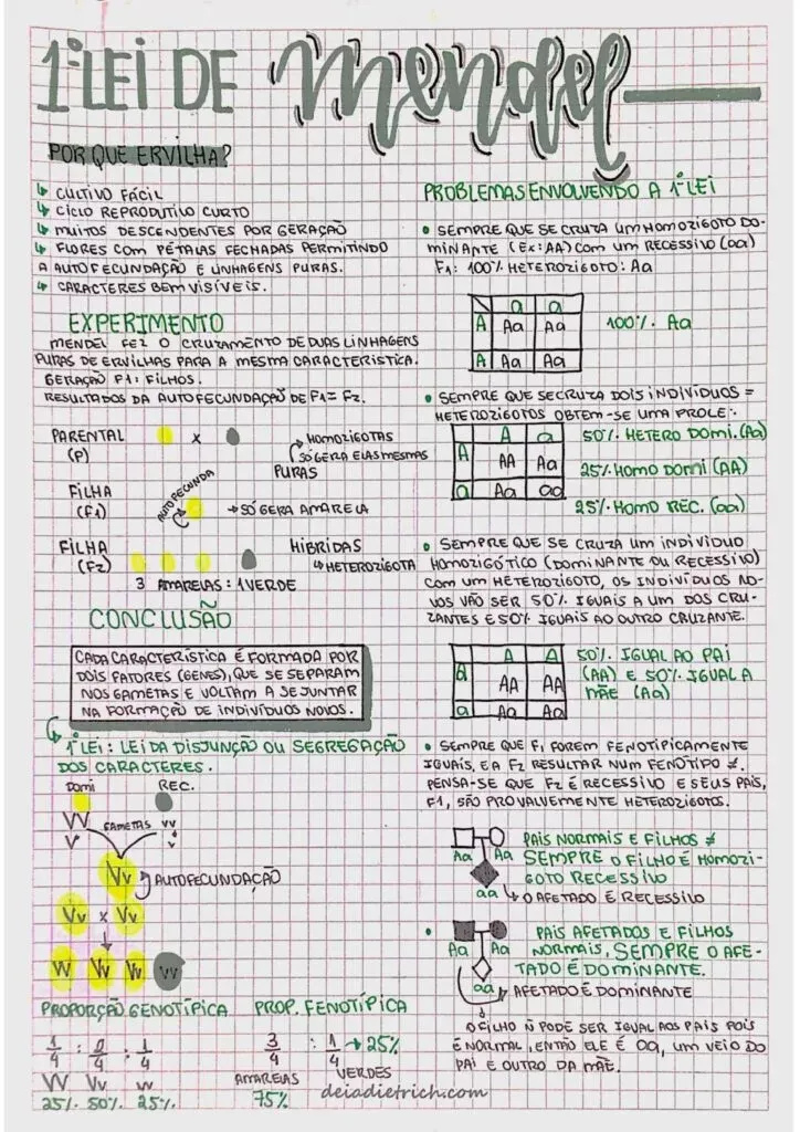 Amostra de resumo 1