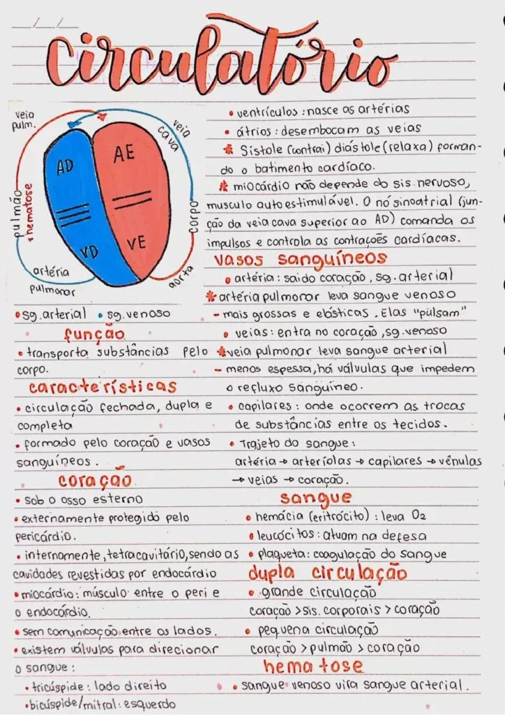 Amostra de resumo 9
